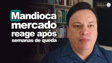Mandioca: mercado reage após semanas de queda. Fábio Isaías Felipe, do CEPEA, comenta
