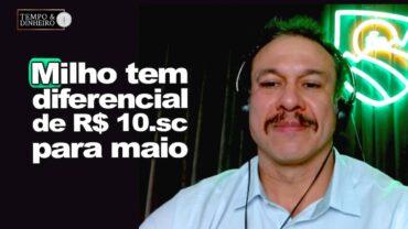 Milho tem diferencial de R$ 10 sc para maio. Como aproveitar esse spread? Robson Polotto comenta