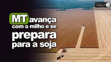 MT avança com colheita de milho e se prepara para cultivo da soja. Gazolla alerta para o manejo