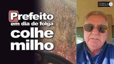 Milho em plena colheita em Nova Esperança do Norte, no Paraná, mostra João Eduardo Pasquini