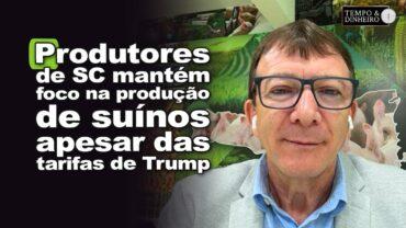 EXCLUSIVO: Dia do Suinocultor – Produtor de SC mantém foco na produção apesar das tarifas de Trump
