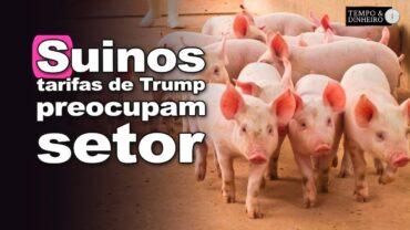 Suinos: Tarifas de Trump preocupam setor! Confira com Losivanio Luiz de Lorenzi, da ACCS