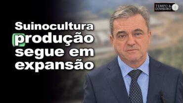 Dia do Suinocultor: produção segue em expansão. Veja a mensagem de Ricardo Santin da ABPA