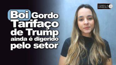 Boi gordo tem mais um dia de pressão. Tarifaço de Trump ainda é digerido pelo setor