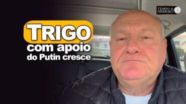 Trigo cresce com apoio de Putin, afirma Vlamir Brandalizze