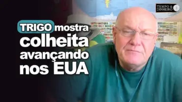 Trigo mostra colheita avançando nos EUA, afirma Brandalizze