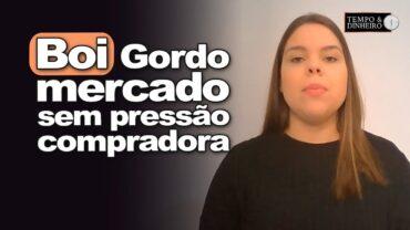 Boi gordo Cepea: mercado sem pressão compradora e vendedora, informa Isabela Zavatti