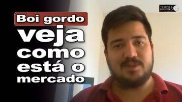 Boi gordo: posição mais firme de compradores limita altas no mercado, informa Luis Gustavo Susumo