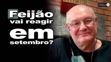 Feijão devendo subir? Veja o que esperar em setembro, Vlamir Brandalizze comenta