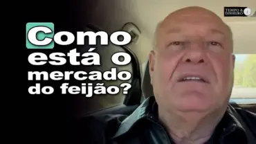 Por que a Colheita do Feijão está segurando o mercado? Brandalizze explica