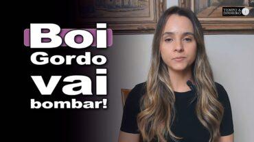 Boi gordo deve ter maior movimentação de olho no início de setembro, informa Isabella Camargo