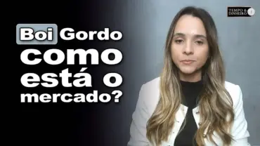 Boi gordo, Isabella Camargo analisa o mercado
