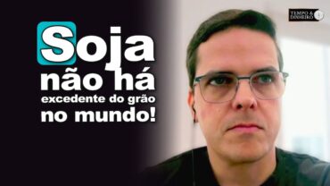 Soja: não há excedente do grão no mundo junto com milho e café