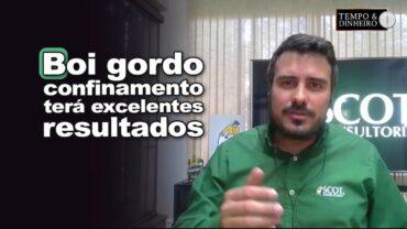 Boi gordo: confinamento terá excelentes resultados, analisa Felipe Fabbri, da Scot Consultoria