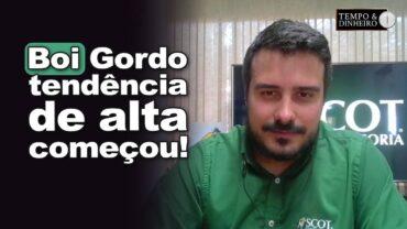 Boi gordo: Tendência de alta começou!