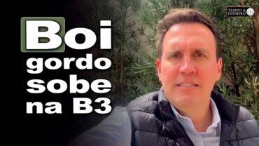 Boi gordo sobe em 10 praças pecuárias e na B3. Thiago Bernardino, do CEPEA, analisa o mercado