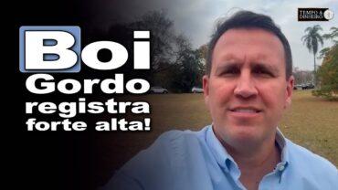 Boi gordo: indicador do CEPEA acumula alta de quase 6% em agosto, informa Thiago Bernardino