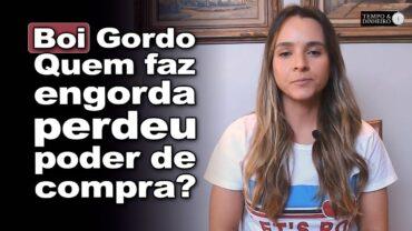 Boi gordo: relação de troca com bezerro e boi magro. Quem faz engorda perdeu poder de compra?
