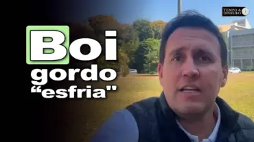 Boi gordo “esfria” com entrada na 3ª semana de agosto