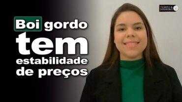 Boi gordo tem estabilidade de preços neste início de segunda quinzena, comenta Isabela Zavatti