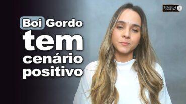 Boi gordo tem cenário positivo para agosto e maior movimento do comercio atacadista
