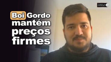 Boi gordo teve preços firmes mas segue de olho na 2ª quinzena, informa Luis Gustavo Susumo
