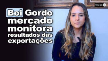 Boi gordo: mercado monitora resultados das exportações e entrada da segunda quinzena do mês