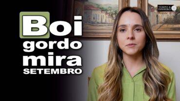 Boi gordo mira negócios para setembro. Isabella Camargo comenta
