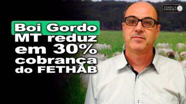 Boi gordo: MT reduz em 30% cobrança do FETHAB sobre fêmeas e inversão de ciclo