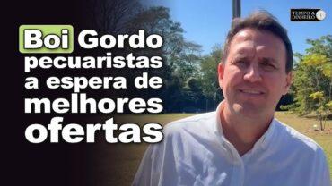 Boi gordo tem estabilidade de preços com pecuaristas a espera de melhores ofertas