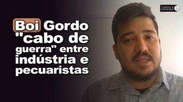 Boi gordo em alta com “cabo de guerra” entre indústria e pecuaristas, informa Luis Gustavo Susumo