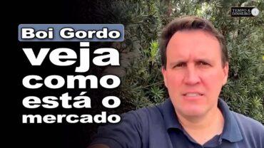 Boi gordo tem baixa oferta em quase todas as regiões! Confira com Thiago Bernardino