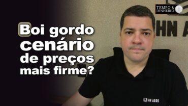 Boi gordo: tudo aponta para um cenário de preços firmes, informa Hyberville Neto