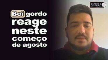 Boi gordo reage neste começo de agosto. Viés de alta apesar do tarifaço?