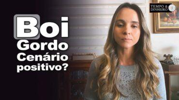 Boi gordo movimentado pelo início do mês e tarifas dos EUA. Isabella Camargo comenta