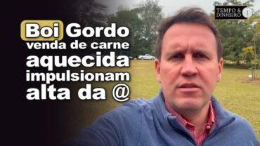 Boi gordo: venda de carne aquecida e escalas mais curtas impulsionam alta da @, informa T. Bernardino