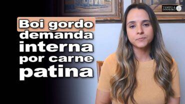 Boi gordo tem preços firmes apesar de demanda interna por carne patinar, informa Isabella Camargo