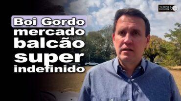 Boi gordo: lentidão nas vendas, resistência dos pecuaristas e indefinição no mercado balcão