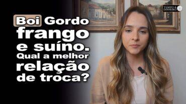 Boi gordo, frango e suíno. Qual a melhor relação de troca?