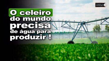 Irrigação está sendo inviabilizada? Precisa de ajustes dos horários? Veja o que diz Afrânio Migliari
