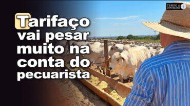 Tarifaço em vigor: ideologia sobrepõe diplomacia. E a securitização?