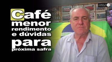 Café: menor rendimento e dúvidas para próxima safra em MG