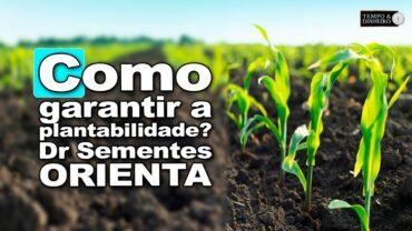 Próxima safra vem aí! Como garantir a plantabilidade? Dr Sementes, Alexandre Gazolla, orienta