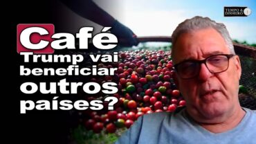 Café e tarifaço: Trump vai beneficiar outros países produtores da América Central e África?
