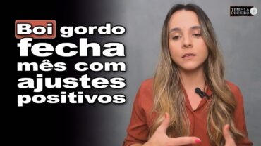 Boi gordo encerra agosto com estabilidade de preços com ajustes positivos ao longo do mês