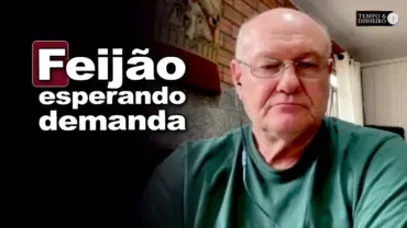Feijão esperando demanda, explica o consultor Vlamir Brandalizze