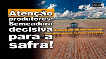 Safra vem aí com atenção para semeadura! Plantar imediatamente após a chuva? Gazolla comenta