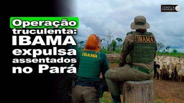 IBAMA expulsa assentados no Pará