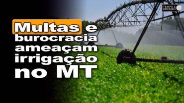 Irrigação enfrenta burocracia e multas no MT e irrigantes tentam ordenar a atividade no Estado
