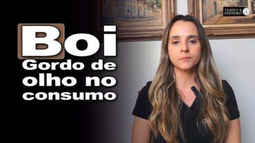 Boi gordo entra na última semana de agosto de olho no consumo de carne e nas exportações